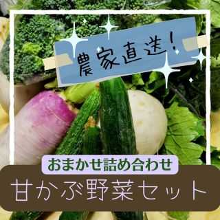 おまかせ甘かぶ野菜セット 80サイズ(野菜)