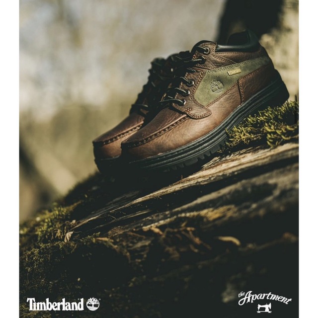 the Apartment Timberland GTX MOC TOE MID