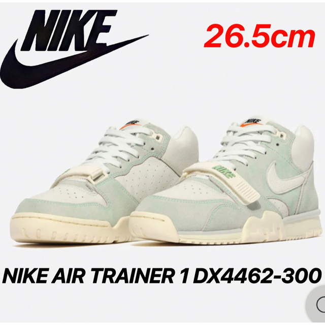 NIKE(ナイキ)の【最終値下げ】NIKE AIR TRAINER 1 DX4462-300 メンズの靴/シューズ(スニーカー)の商品写真