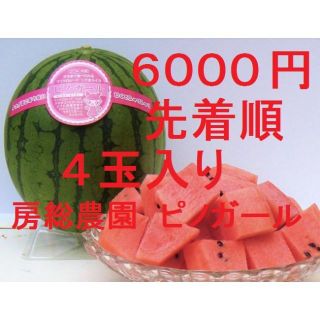 6000円　4玉入り　大満足・大人気の高級スイカ「ピノガール」種まで食べられます(フルーツ)