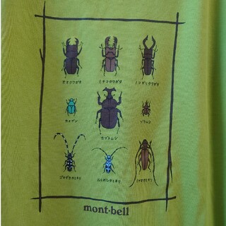 モンベル(mont bell)のモンベル 150 キッズTシャツ 2枚組(登山用品)
