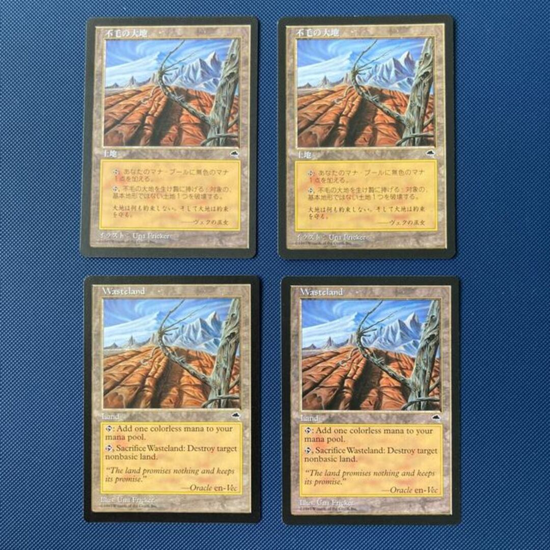 マジックMTG 不毛の大地(EN)2枚 - mirabellor.com