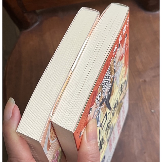 美品❗️『マリコ、東奔西走』『Go Toマリコ』 エンタメ/ホビーの本(文学/小説)の商品写真