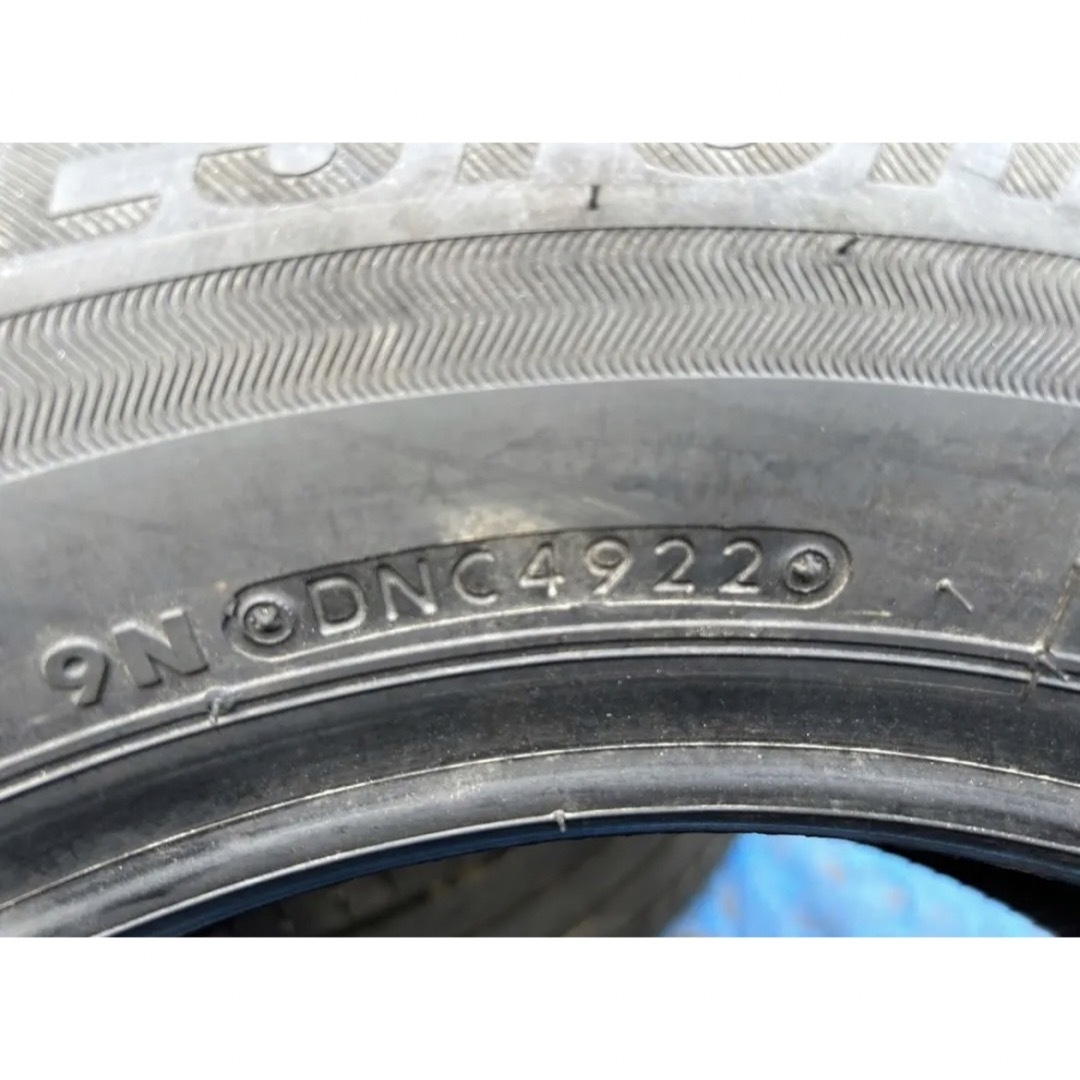ブラウン×ピンク 新車剥がし DUNLOP 195/65R15 22年製 サマータイヤ