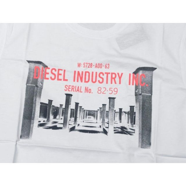 【新品未使用品】DIESEL T-DIEGO-S13 Tシャツ L ①