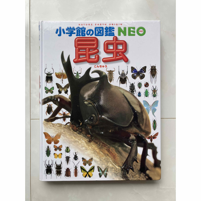 小学館(ショウガクカン)の小学舘の図鑑 NEO 昆虫　カバー付 エンタメ/ホビーの本(絵本/児童書)の商品写真