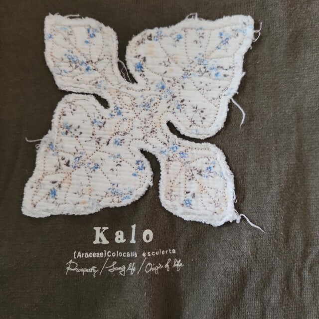FELISSIMO(フェリシモ)のフェリシモサニークラウズ半袖Tシャツ２枚セット キッズ/ベビー/マタニティのキッズ服女の子用(90cm~)(Tシャツ/カットソー)の商品写真