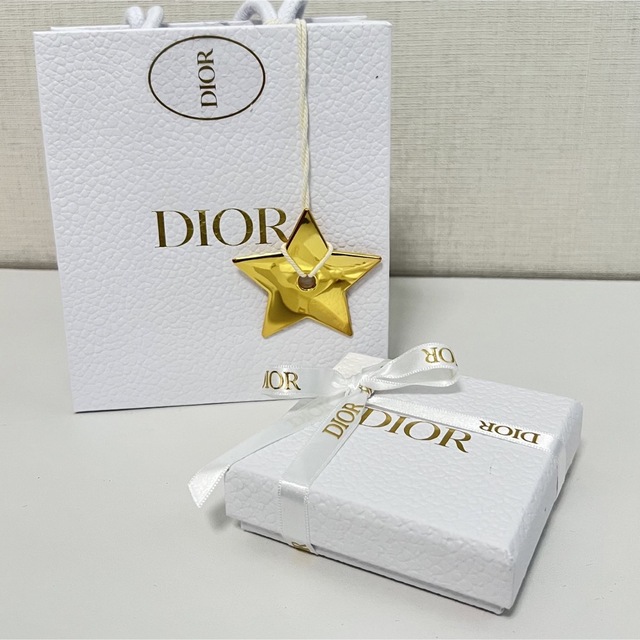 【限定品レア】【新品未使用】DIOR TRIBALES ピアス