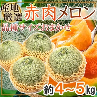 熊本県産　赤肉メロン　3-4玉　約5kg 良品(フルーツ)