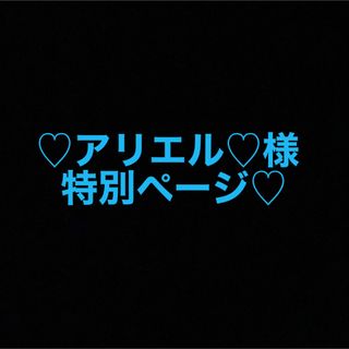 ディズニー(Disney)の♡アリエル♡様 特別ページ♡(ぬいぐるみ/人形)