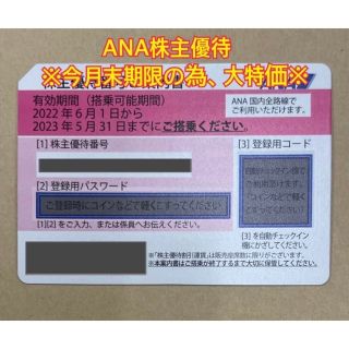 大特価‼️ANA 株主優待券 2023年5月31日迄(その他)