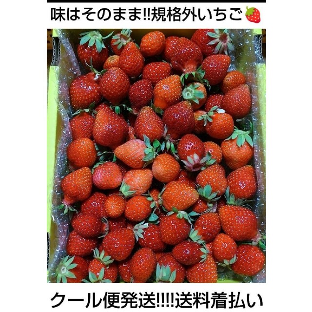 (黄箱)規格外いちご^^クール便・着払い 食品/飲料/酒の食品(フルーツ)の商品写真