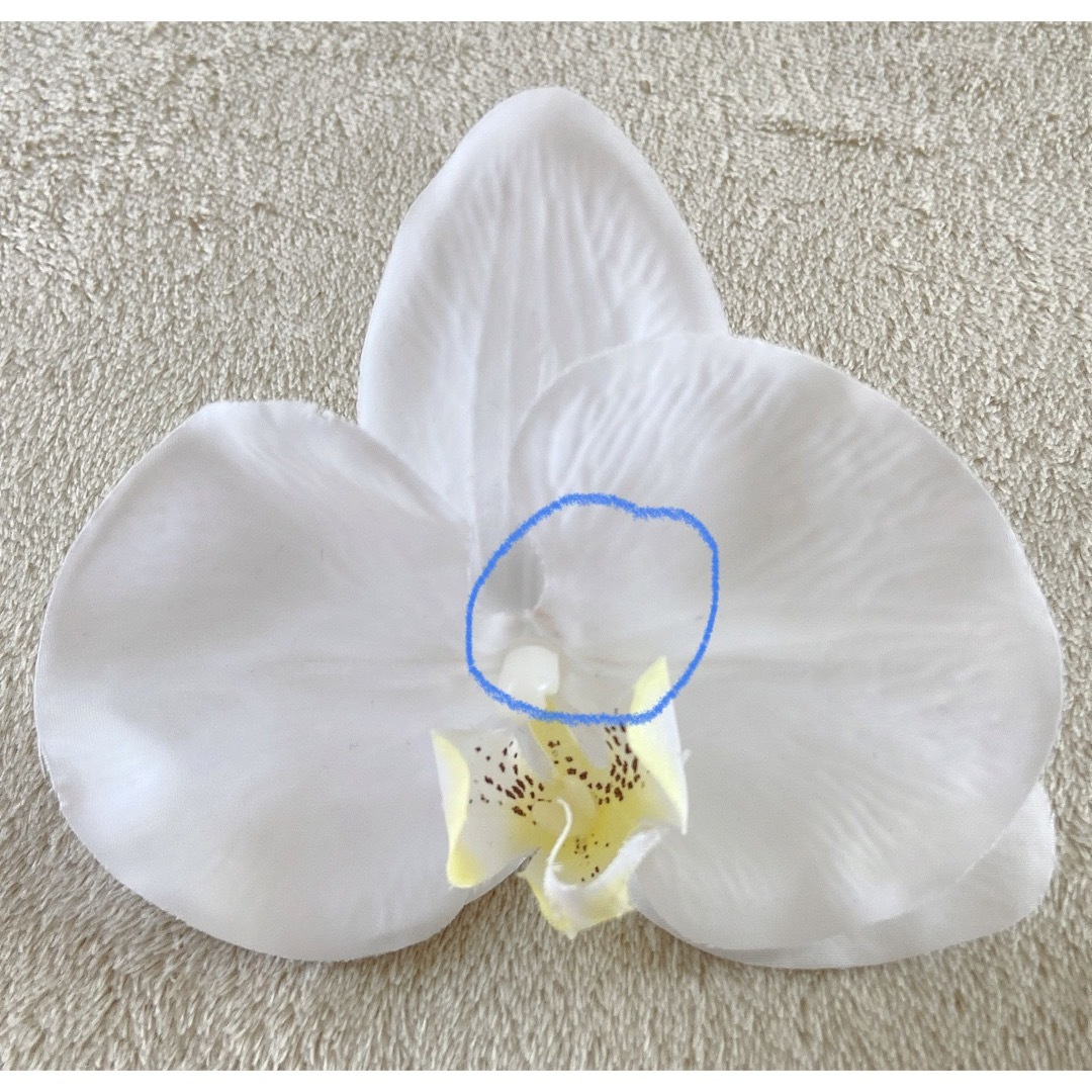 胡蝶蘭ヘアピン5つ レディースのヘアアクセサリー(ヘアピン)の商品写真