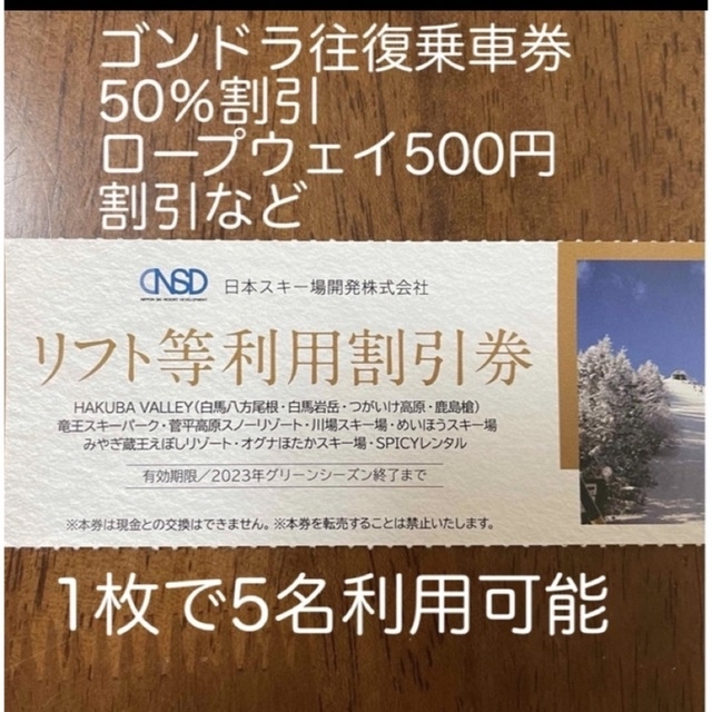 白馬岩岳マウンテンリゾート等利用可能割引券　日本駐車場開発 チケットの優待券/割引券(その他)の商品写真