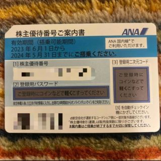 エーエヌエー(ゼンニッポンクウユ)(ANA(全日本空輸))の3枚　ANA 株主優待　2023年6月1日から2024年5月31日まで(航空券)