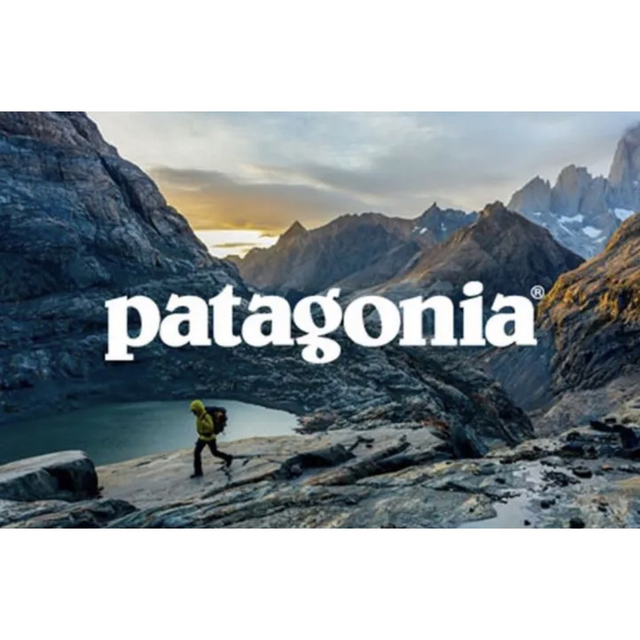 patagonia(パタゴニア)の◎新品PATAGONIA MEN’S BAGGIES 5" SHORTS☆ メンズのパンツ(ショートパンツ)の商品写真