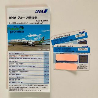 エーエヌエー(ゼンニッポンクウユ)(ANA(全日本空輸))のANA優待券(その他)