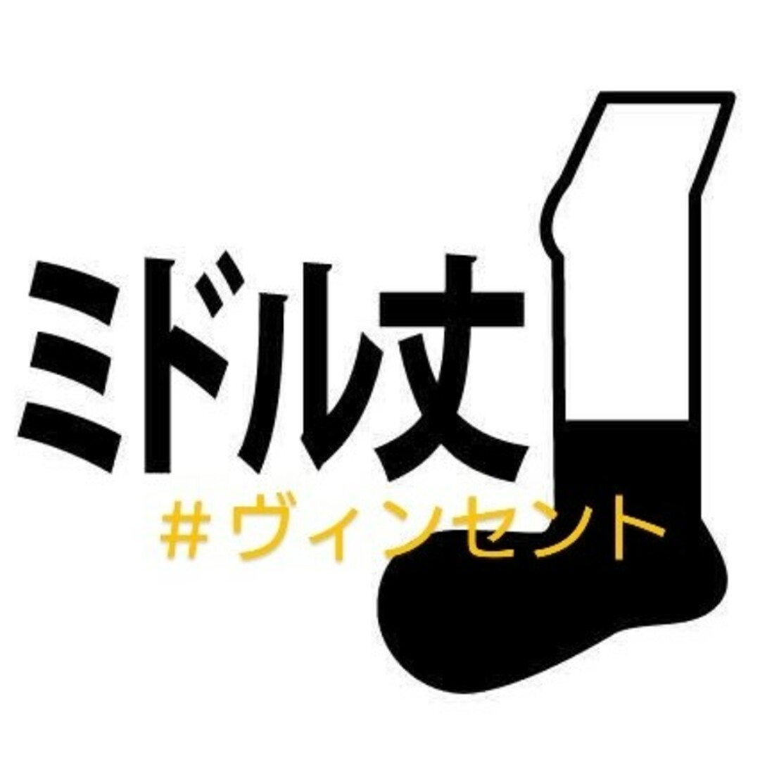 ポケモン(ポケモン)のポケモン 未使用 ワンポイント ラメ アローラロコン ソックス 靴下 エンタメ/ホビーのおもちゃ/ぬいぐるみ(キャラクターグッズ)の商品写真