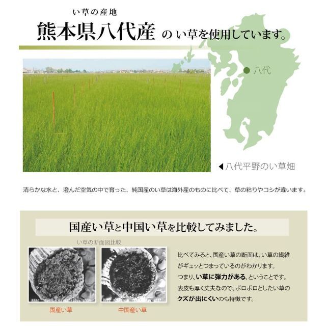 イケヒコ い草 ラグ 不知火 本間3畳 約191×286cm 日本製 上敷き カ 8