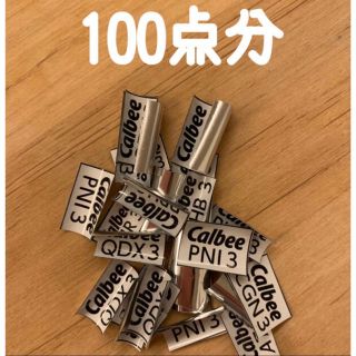 カルビー(カルビー)のカルビー応募券100点(その他)