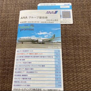 エーエヌエー(ゼンニッポンクウユ)(ANA(全日本空輸))のANA 株主優待券(航空券)