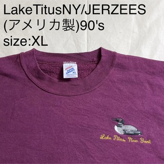 ジャージーズ(JERZEES)のLakeTitusNY/JERZEESビンテージスウェットシャツ(アメリカ製)(スウェット)