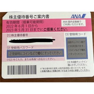 エーエヌエー(ゼンニッポンクウユ)(ANA(全日本空輸))のANA株主優待搭乗券(その他)