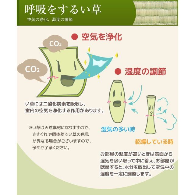 アーリエArie い草 カーペット ラグ 敷物 快適 癒し 空気を浄化 湿度調整 6