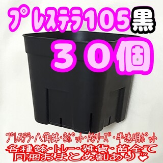 【スリット鉢】プレステラ105黒30個 多肉植物 プラ鉢(プランター)