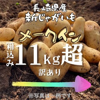 【長崎県産】新じゃがいも（メークイン）【5/30まで】(野菜)