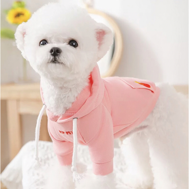 ハーネス リード Sサイズ 服 苺柄 いちご イチゴ 犬 いぬ イヌ 紐付き