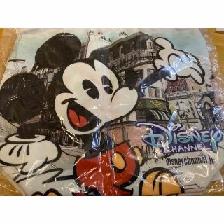 ディズニー(Disney)のトートバッグ(トートバッグ)