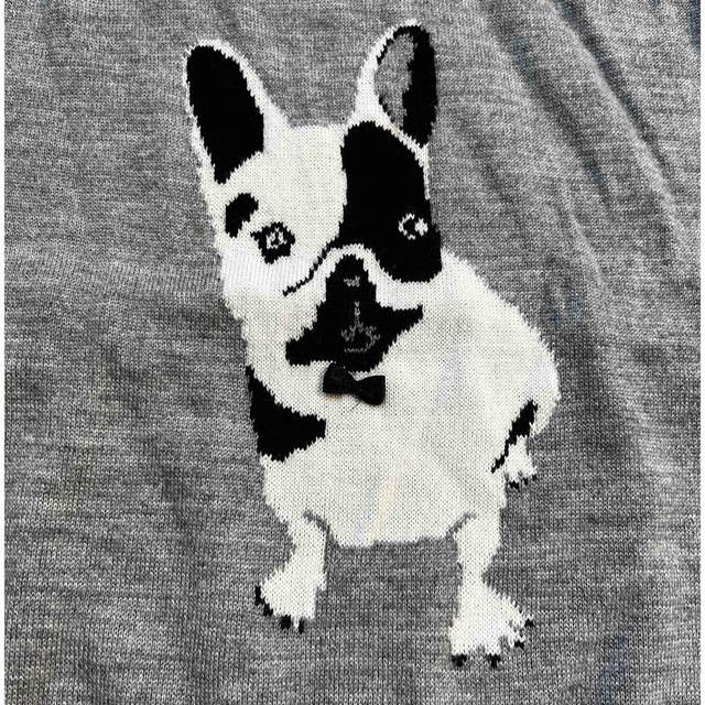 SLOBE IENA(スローブイエナ)のSLOBE  IENA 犬柄ニット レディースのトップス(ニット/セーター)の商品写真