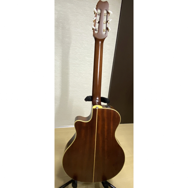Yamaha APX-7CN | www.baloovolley.it