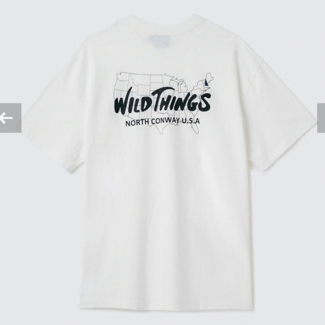 WILDTHINGS(ワイルドシングス)のワイルドシングス　Tシャツ メンズのトップス(Tシャツ/カットソー(半袖/袖なし))の商品写真