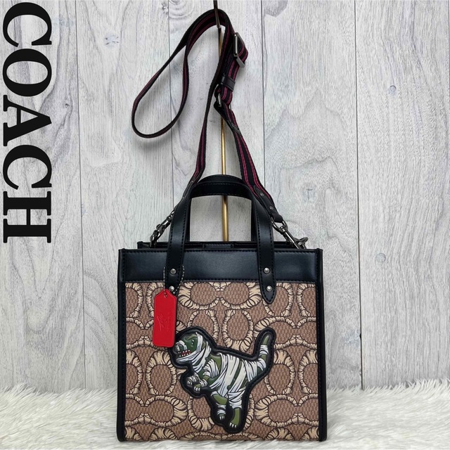 極美品✨COACH リュック バッグパック シグネチャー レザー ダークブラウン