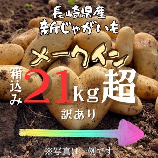 【大特価】新じゃがいも（メークイン）長崎県産【5/30まで】(野菜)