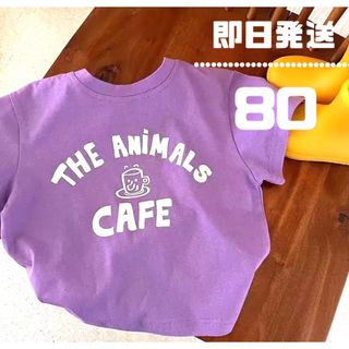 新作　子供　80 Tシャツ　半袖　トップス　韓国子供服(Ｔシャツ)