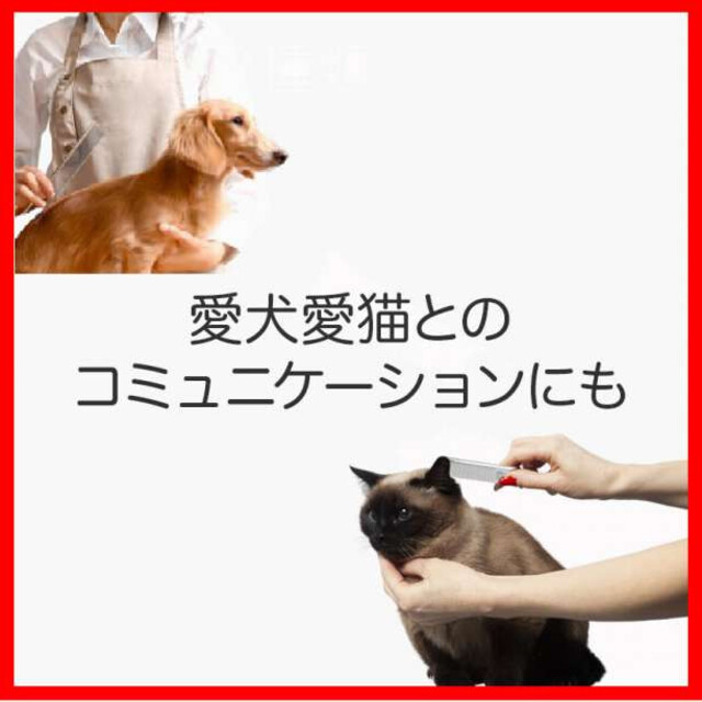 ペット 用 トリミング コーム ステンレス 犬 猫 抜け毛 取り もつれ毛 その他のペット用品(犬)の商品写真