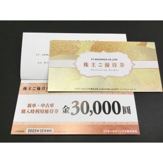 VTホールディングスの株主ご優待券　2冊セット　株主優待(その他)