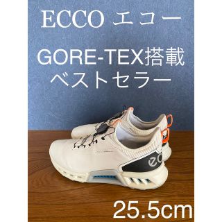 ほぼ未使用 ecco エコー ゴルフ シューズ スパイクレス メンズ 本革 43