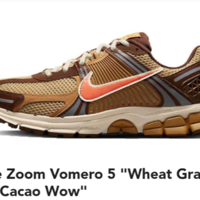 Nike zoom Vomero 5 cacao FB9149-700(255)