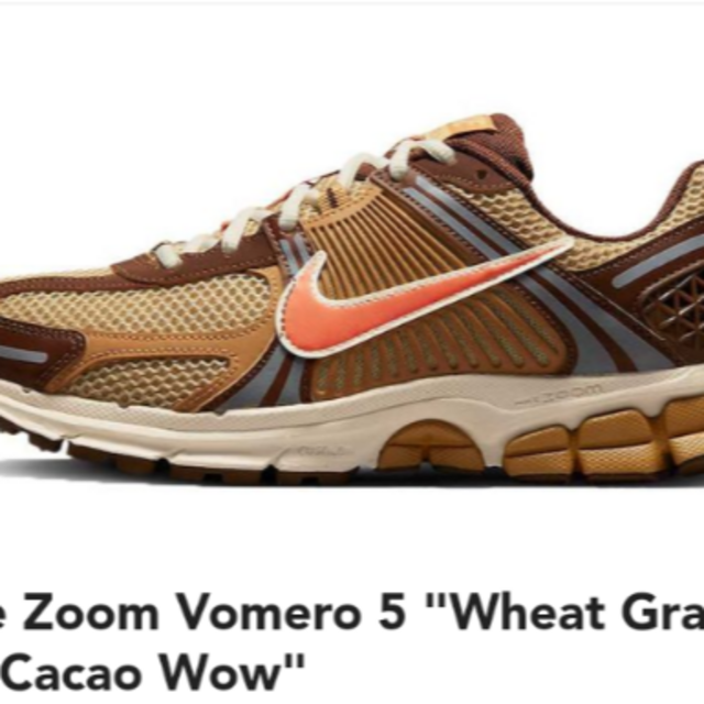 Nike zoom Vomero 5 cacao FB9149-700(260)