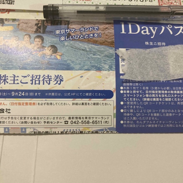 東京都競馬 東京サマーランド 株主招待券 1dayパス 8枚の通販 by 楽々