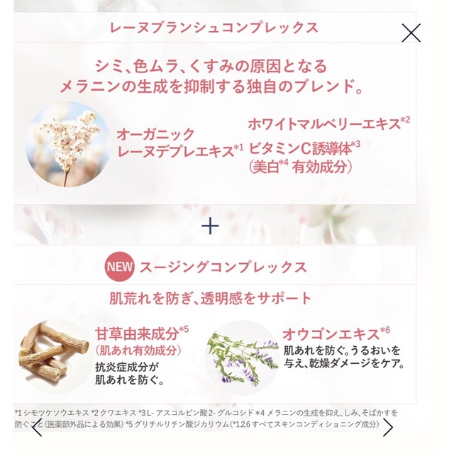 L'OCCITANE(ロクシタン)のロクシタン　レーヌブランシュ ブライトモイスチャーリッチクリーム コスメ/美容のスキンケア/基礎化粧品(フェイスクリーム)の商品写真