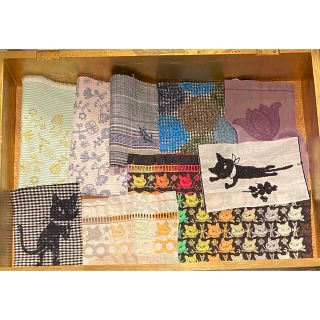 新製品情報も満載 pjcキメポーズのクロッチくん他、ミナペルホネン動物