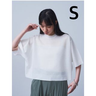 スタニングルアー(STUNNING LURE)のシアーミラノリブTシャツ(Tシャツ(半袖/袖なし))