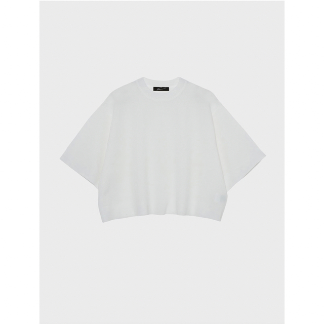 STUNNING LURE(スタニングルアー)のシアーミラノリブTシャツ レディースのトップス(Tシャツ(半袖/袖なし))の商品写真