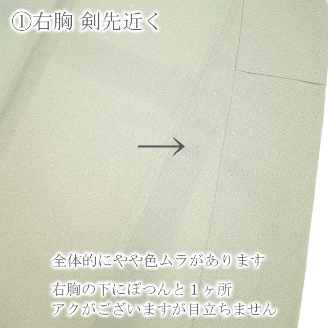 すごい値！夏物 江戸小紋 着物 単衣 絽ちりめん 正絹 薄緑 草花文 中古 仕立て上がり 夏 身丈157 裄64 Ｓ～Ｍサイズ みやがわ nek00588 レディースの水着/浴衣(着物)の商品写真