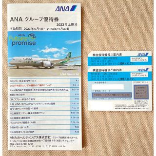 エーエヌエー(ゼンニッポンクウユ)(ANA(全日本空輸))のANA 株主優待番号ご案内書　2枚　グループ優待券冊子　一冊　セット(その他)